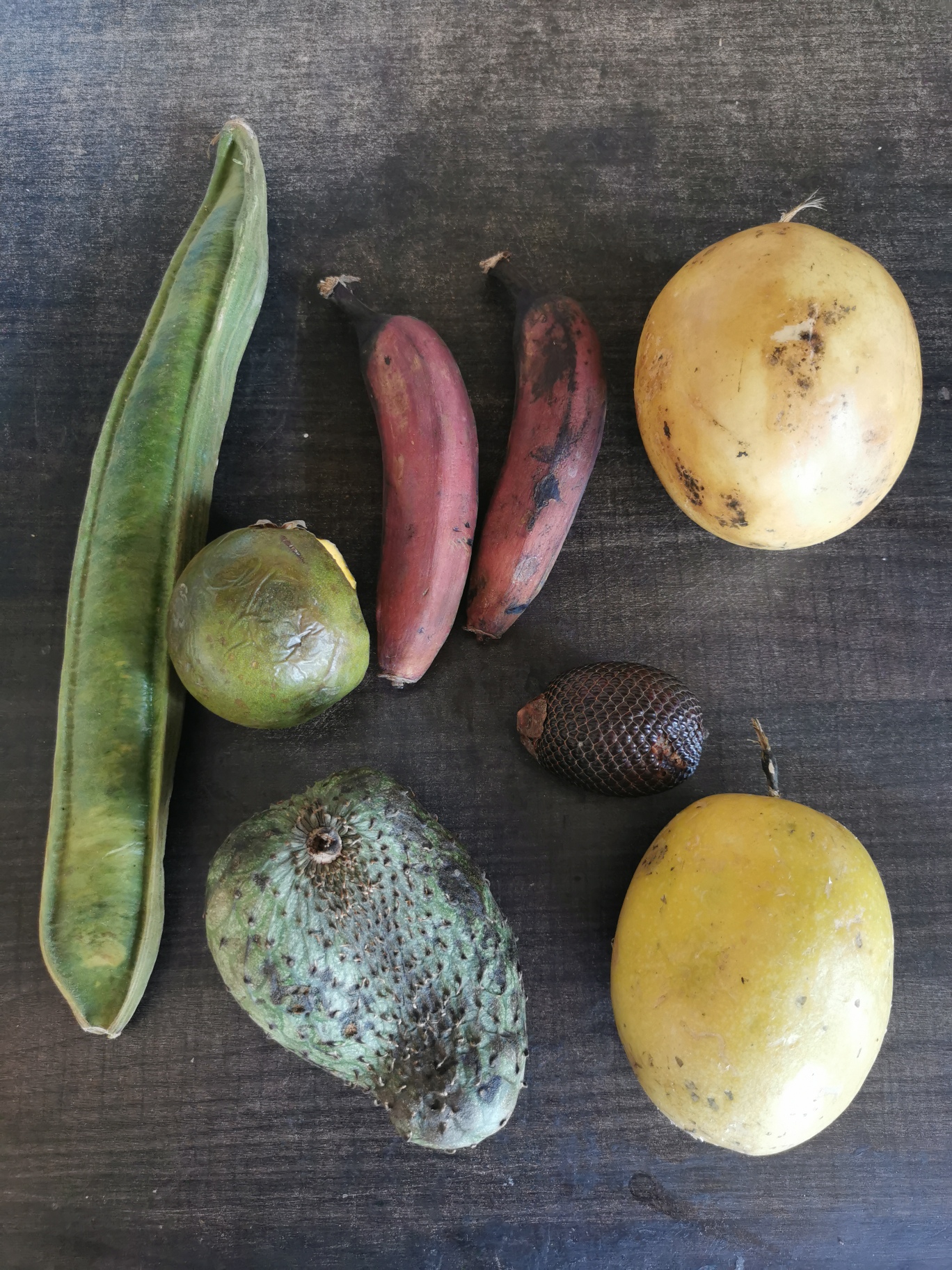 IMG_20241204_115117_resized_20250731_084526514 (1)