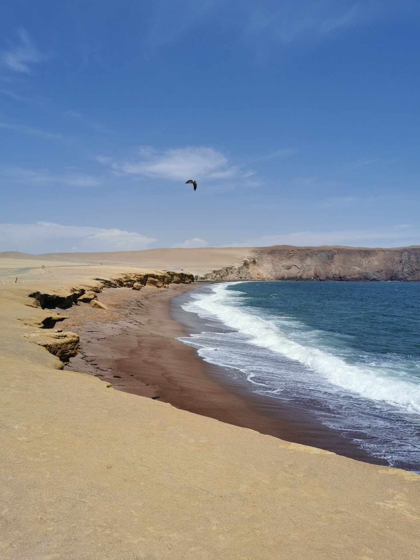 IMG_20241210_132621_resized_20250731_084526962 (1)